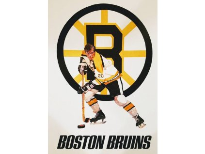 boston bruins
