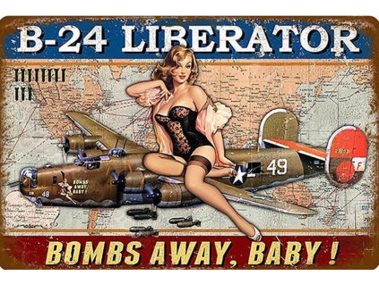 b 24 liberator