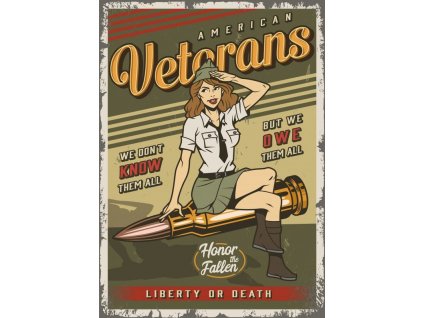 american veterans