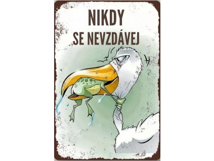 NIKDY SE NEVZDÁVEJ