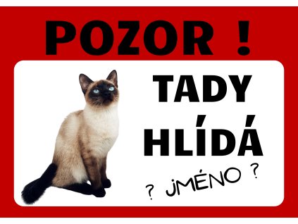Tady hlídá Siamská kočka