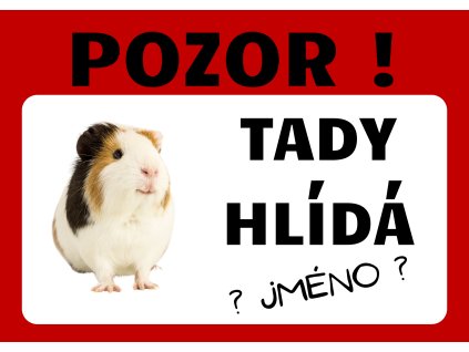 Tady hlídá morče
