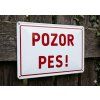 pozor pes