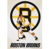 boston bruins