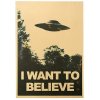 i want to believe