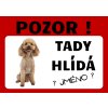 Tady hlídá Pudl