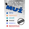 Ideální muž