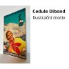 Dibond česky 2