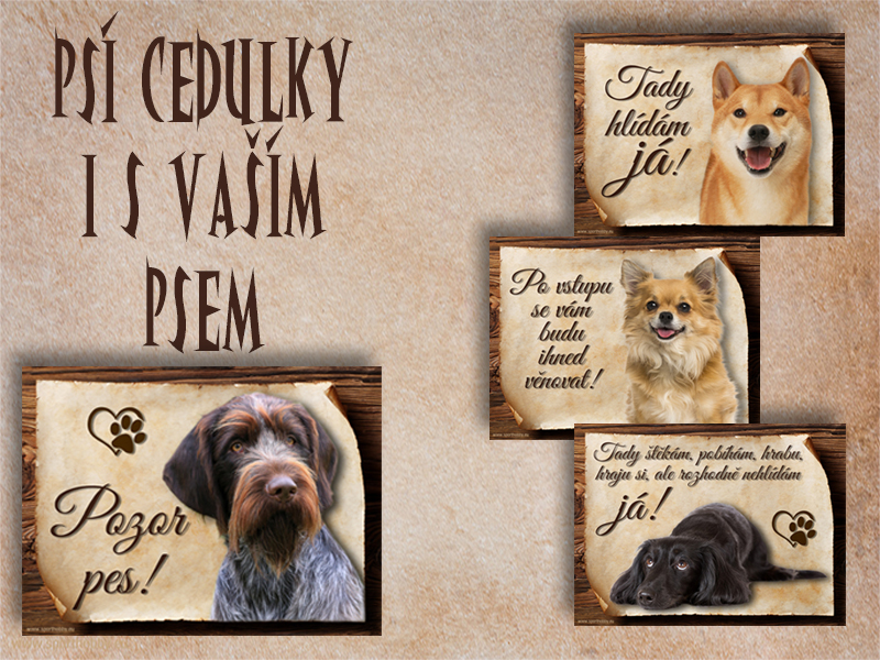 Psí cedulky