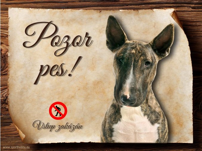 Cedulka Bullterier - Pozor pes zákaz/CP347