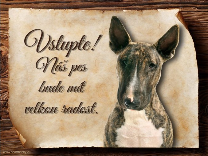 Cedulka Bullterier - Vstupte/CP348