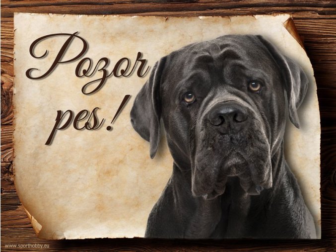 Cedulka Cane Corso - Pozor pes/CP017