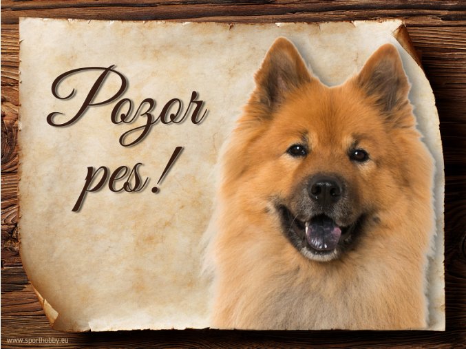 Cedulka Eurasier - Pozor pes/CP546