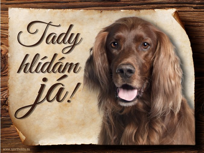 Cedulka Irský setr - Tady hlídám já/CP473