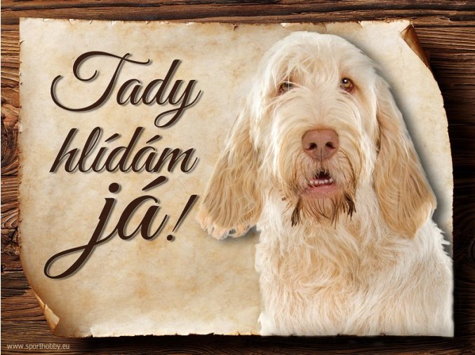 Cedulka Italský spinone - Tady hlídám já/CP149