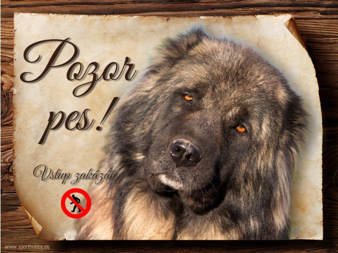 Cedulka Kavkazský pastevecký pes - Pozor pes zákaz/CP738