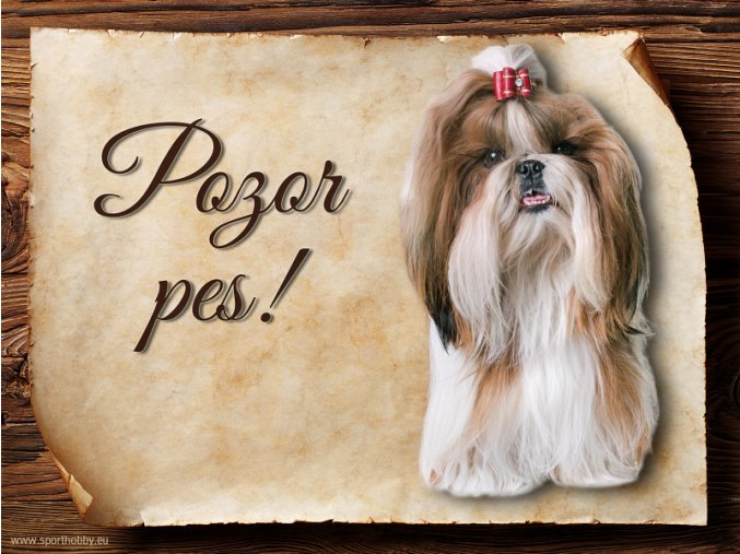 Cedulka Shih-tzu - Pozor pes/CP564