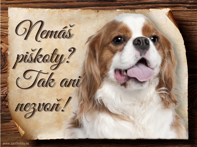 674 Cedulka Kavalír King Charles španěl