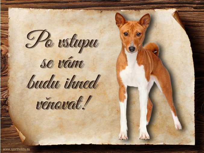 Cedulka Basenji - Po vstupu .../CP116