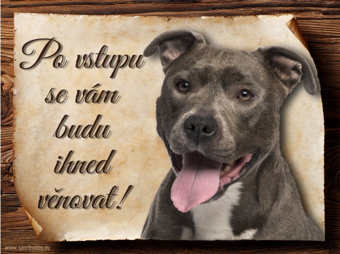 792 Cedulka Americký pitbulterier