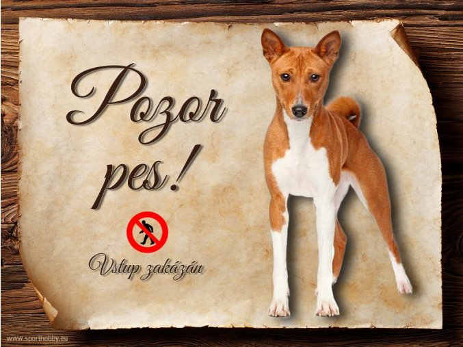 Cedulka Basenji - Pozor pes zákaz/CP117