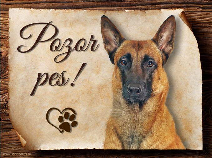 1064 Cedulka Belgický ovčák Malinois