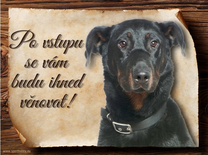 487 Cedulka Beauceron