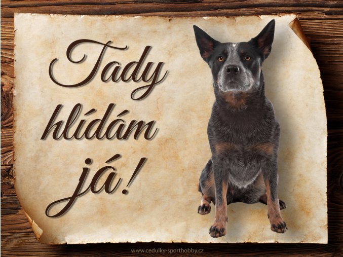 1628 Cedulka Australský honácký pes