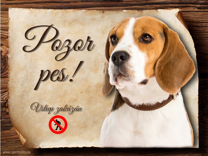Cedulka Bígl - Pozor pes zákaz/CP621