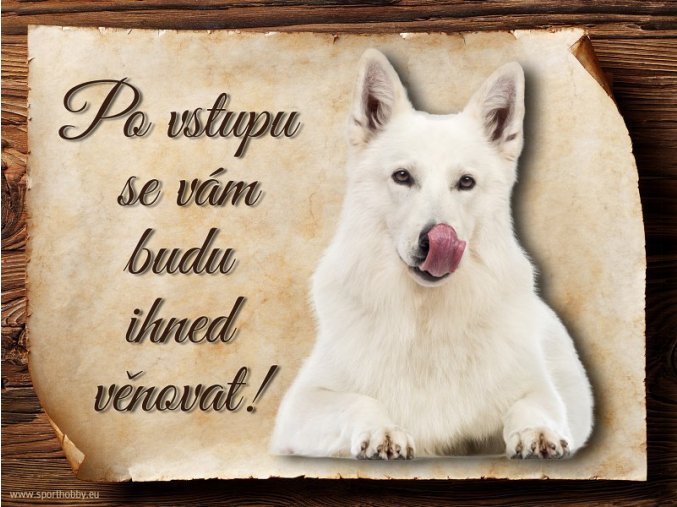 Cedulka Bílý švýcarský ovčák - Po vstupu .../CP074