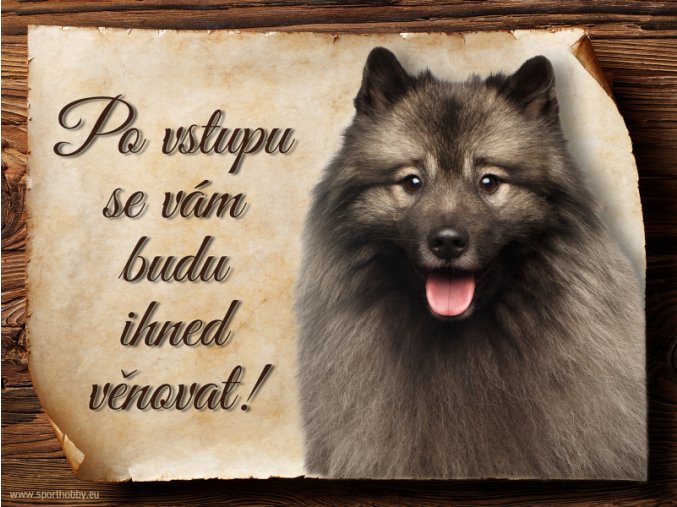 1447 Cedulka Německý špic vlčí