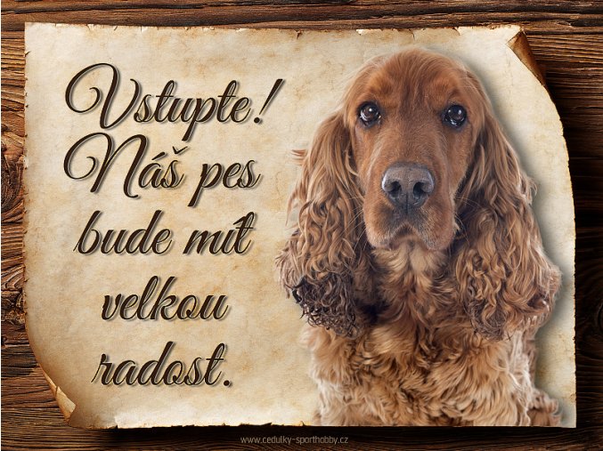 1502 Cedulka Anglický kokršpaněl II