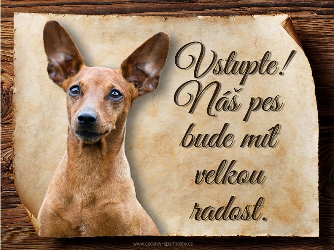 1496 Cedulka Německý trpasličí pinč