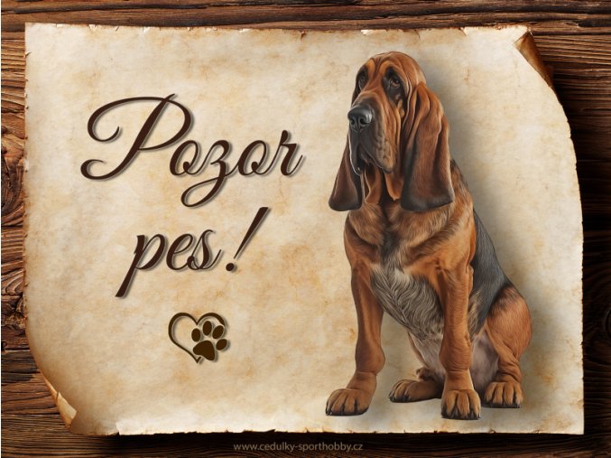 1635 Cedulka Bloodhound