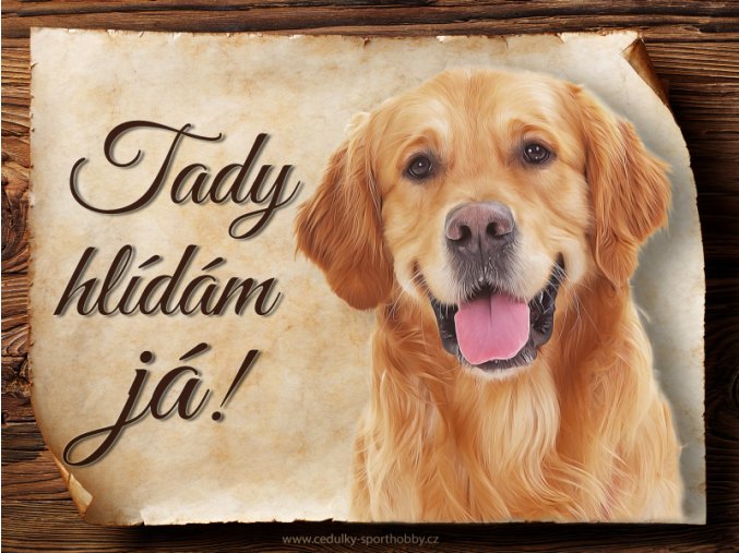 1684 Cedulka Golden retrívr