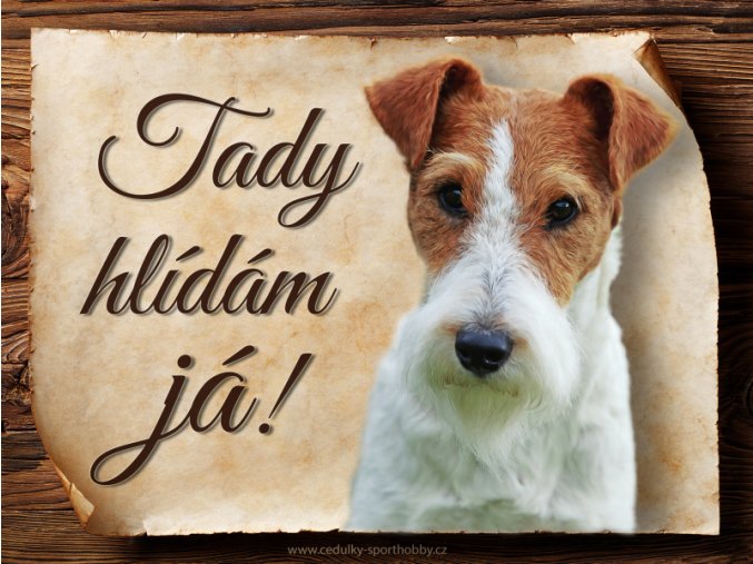 1665 Cedulka Foxterier