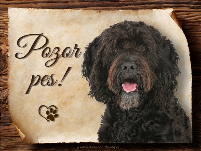 1679 Cedulka Francouzský vodní pes