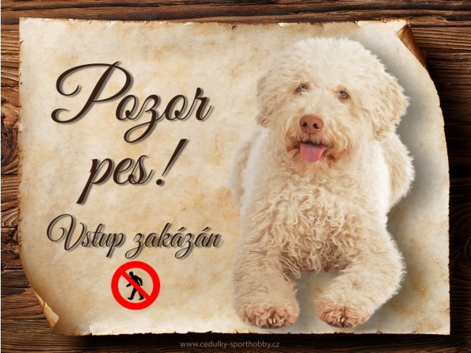 1712 Cedulka Italský vodní pes II