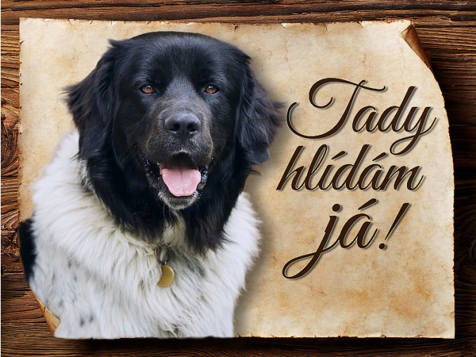 1740 Cedulka Český horský pes