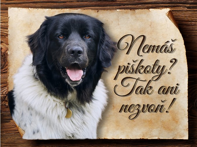 1742 Cedulka Český horský pes