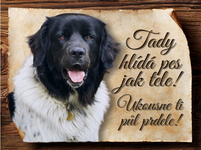 1745 Cedulka Český horský pes