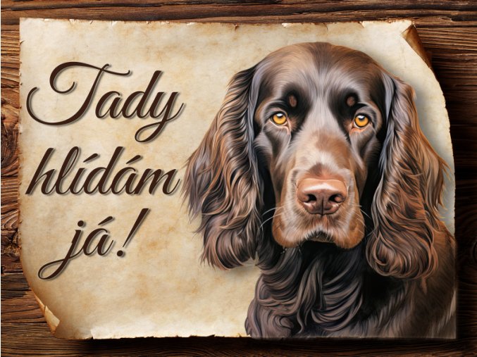 1746 Cedulka Field španěl I