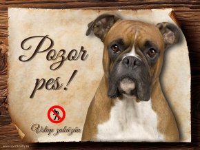 Cedulka Boxer - Pozor pes zákaz/CP219