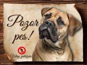 Cedulka Bulmastif - Pozor pes zákaz/CP015