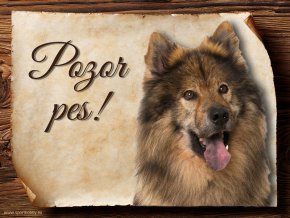 Cedulka Eurasier II - Pozor pes/CP552