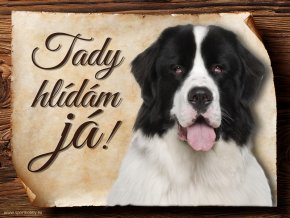 Cedulka Landseer - Tady hlídám já/CP467