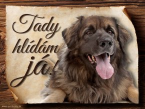 Cedulka Leonberger II - Tady hlídám já/CP649