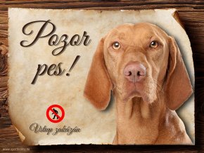 Cedulka Maďarský ohař - Pozor pes zákaz/CP249