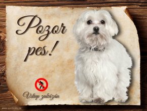 Cedulka Maltézský psík - Pozor pes zákaz/CP225
