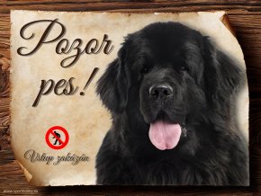 Cedulka Novofunlandský pes - Pozor pes zákaz/CP040